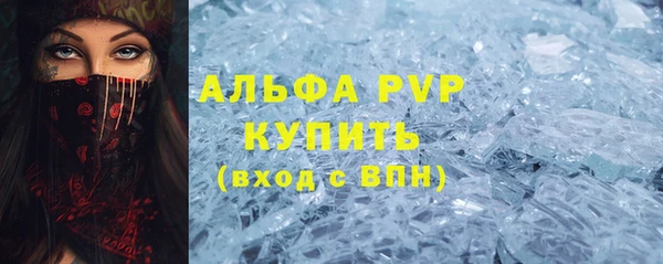 индика Арсеньев