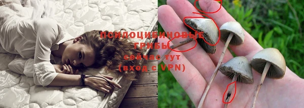 герыч Алексеевка